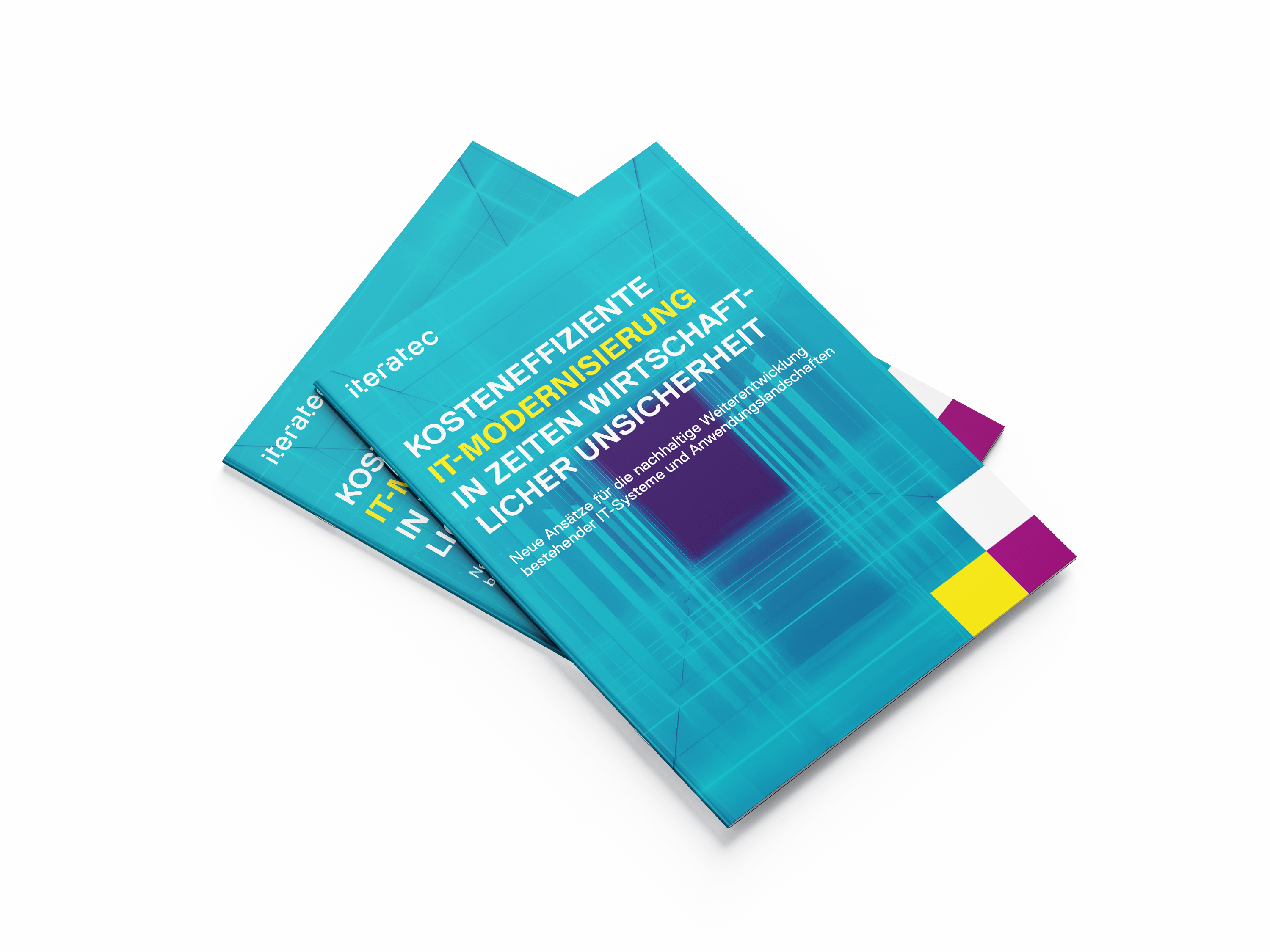 IT-ModernisierungsWhitepaper_A4_Mockup_Cover_ueberarbeitet