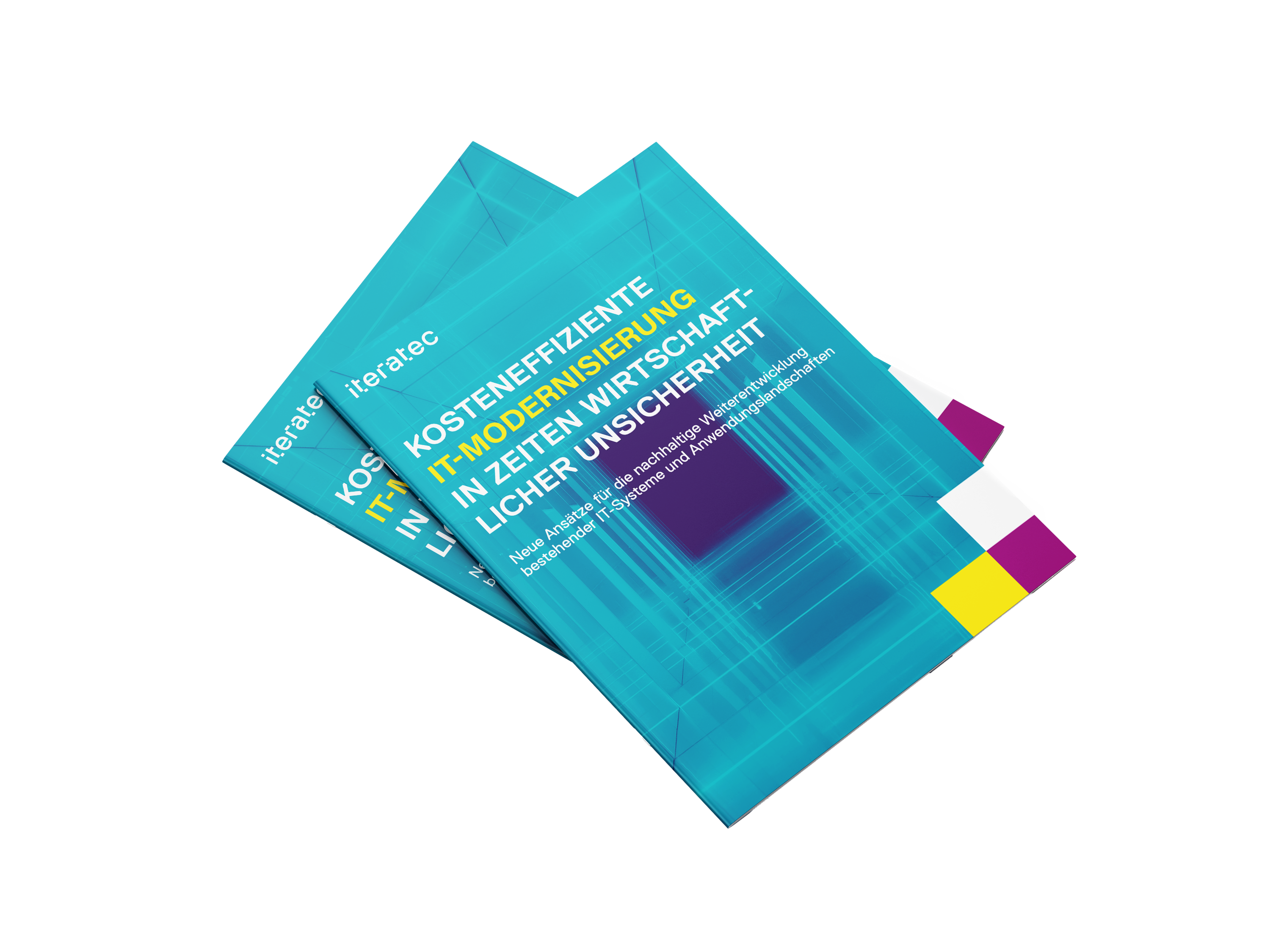Whitepaper-Mockup_IT-Modernisierung_freigestellt