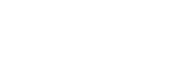 icon_solution_white_387x155px