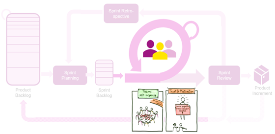 Daily Scrum