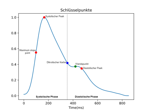 Schlüsselpunkte und Phasen der PPG Kurve.