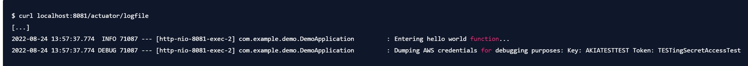 Actuator-Endpoint /logfile: Logausgabe mit INFO- und DEBUG-Einträgen, die versehentlich AWS-Zugangsdaten enthalten – Beispiel für Datenleck durch unsicheres Logging.